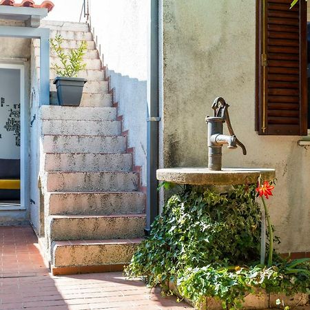 Apartament Oasis Of Peace Dubrownik Zewnętrze zdjęcie